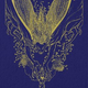Illustration for article titled 42 New Sci-Fi and Fantasy Books to Consider for Your May Reading List